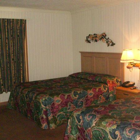 Village Inn Motel - Berrien Springs Eksteriør billede